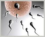 IVF Cost - Infertility Treatment Cost, IVF Cost India, Cost of ivf india